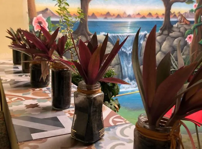 Zouglas App Guest house